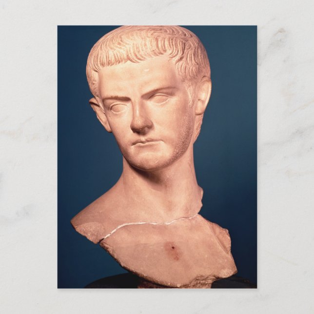 Büste des Kaisers Caligula aus Thrakien, c.39-40 n Postkarte (Vorderseite)