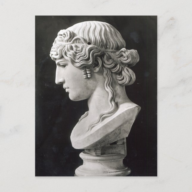 Büste von Antinous genannt "Antinous Mondragone" Postkarte (Vorderseite)