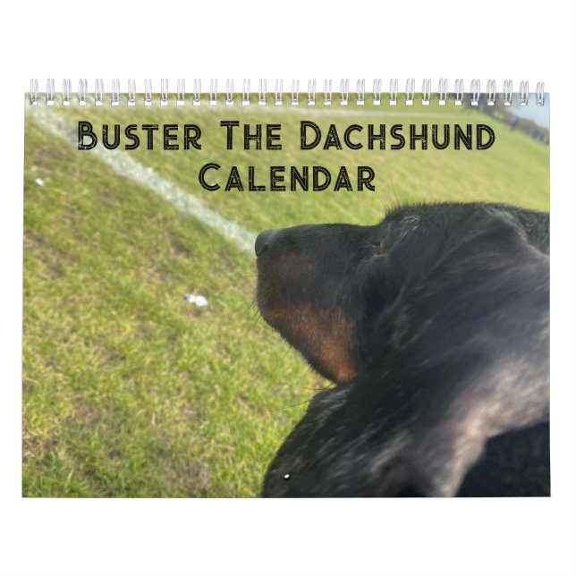 Buster der Dackel Kalender (Titelbild)