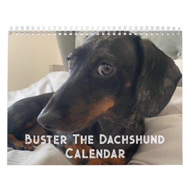 Buster der Dackel Kalender (Titelbild)