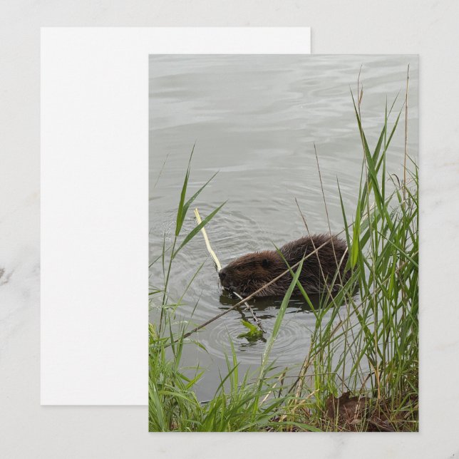 Busy Beaver Feiertagskarte (Vorne/Hinten)