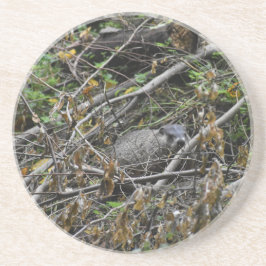 Busy Beaver Getränkeuntersetzer