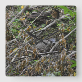 Busy Beaver Quadratische Wanduhr