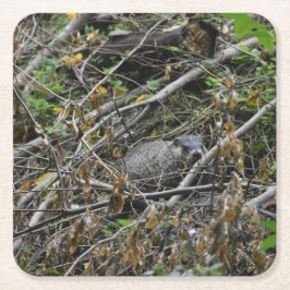 Busy Beaver Rechteckiger Pappuntersetzer
