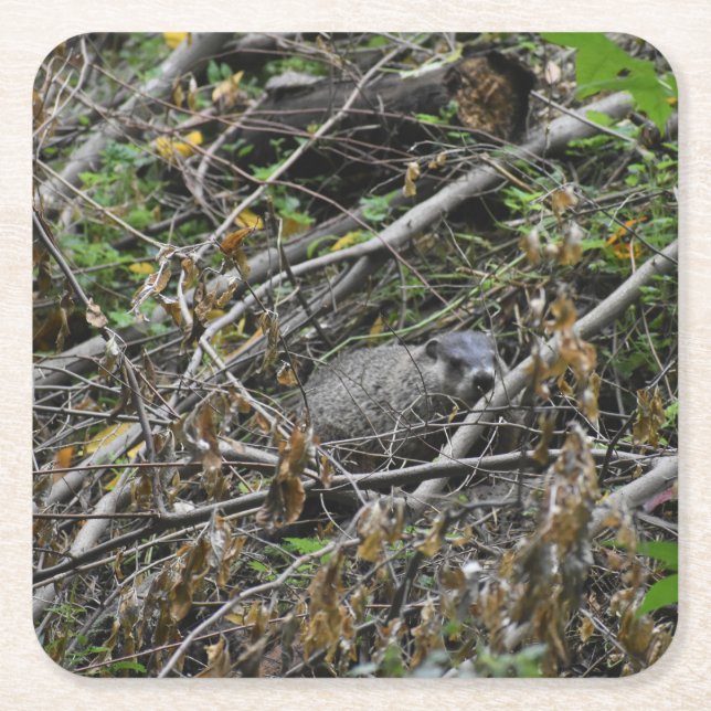 Busy Beaver Rechteckiger Pappuntersetzer (Vorderseite)