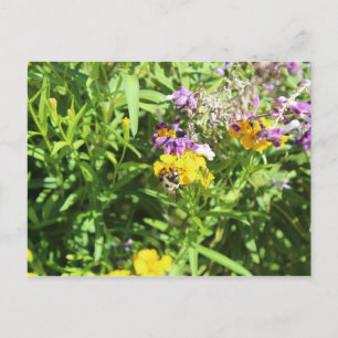 Busy Bee # 1 Postkarte