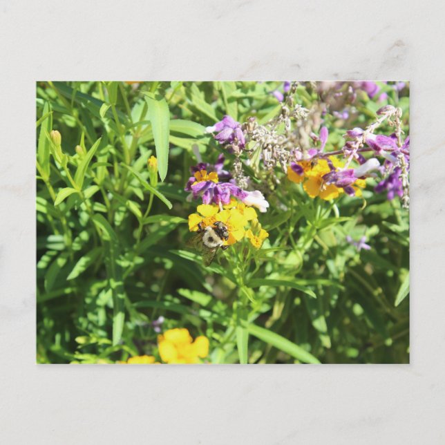 Busy Bee # 2 Postkarte (Vorderseite)