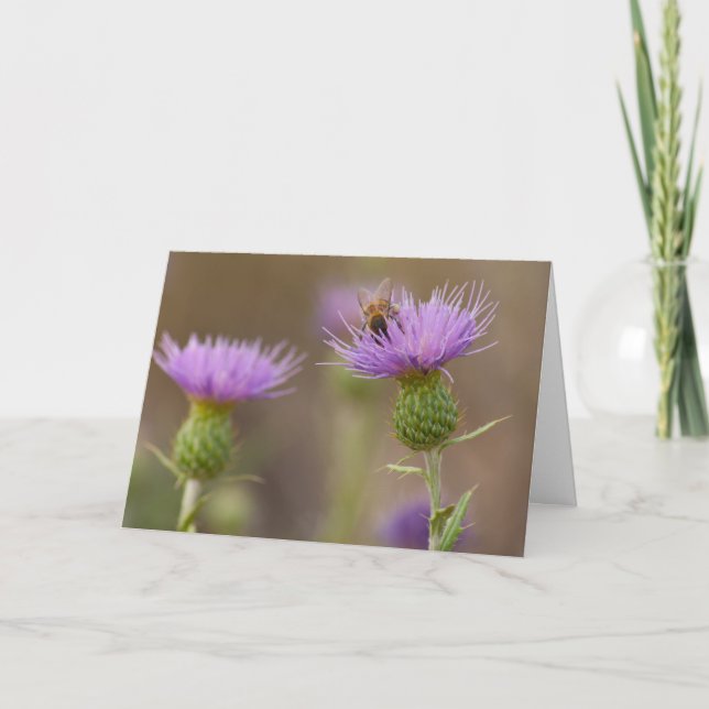 Busy Bee auf Lila Thistle Foto Herzlichen Glückwun Karte (Vorderseite)