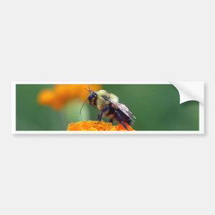 Busy Bee Autoaufkleber