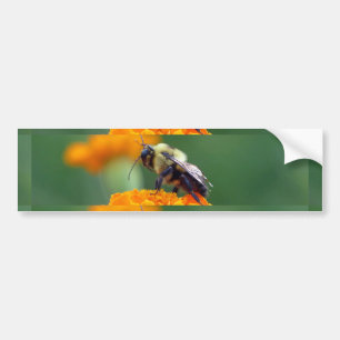 Busy Bee Autoaufkleber