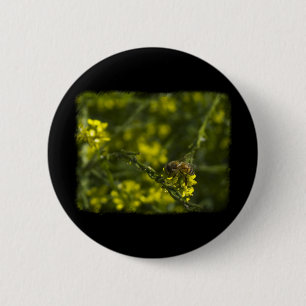 Busy Bee Button