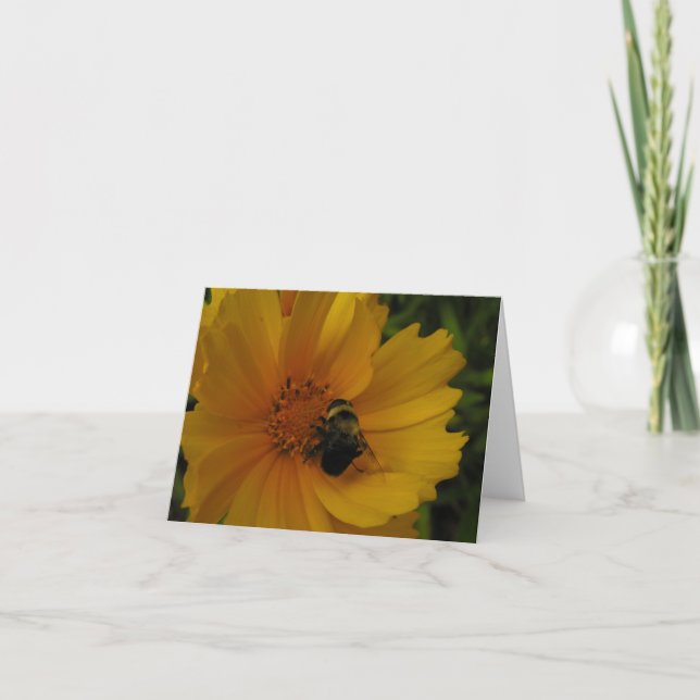 Busy Bee Dankeskarte (Vorderseite)