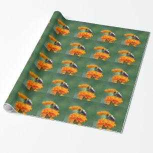Busy Bee Geschenkpapier