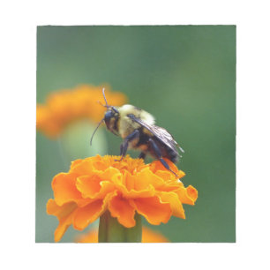 Busy Bee Notizblock
