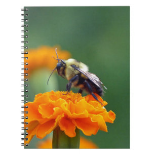 Busy Bee Notizblock