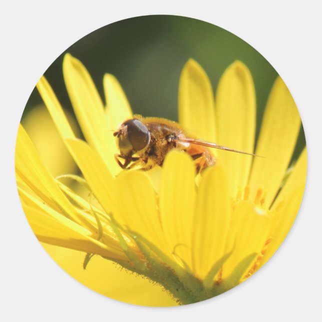 Busy Bee Runder Aufkleber (Vorderseite)