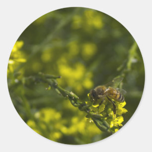 Busy Bee Runder Aufkleber
