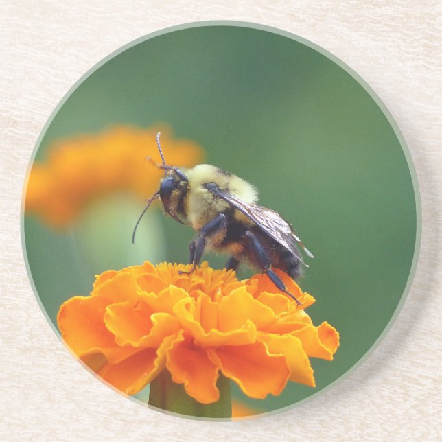 Busy Bee Sandstein Untersetzer (Vorne)