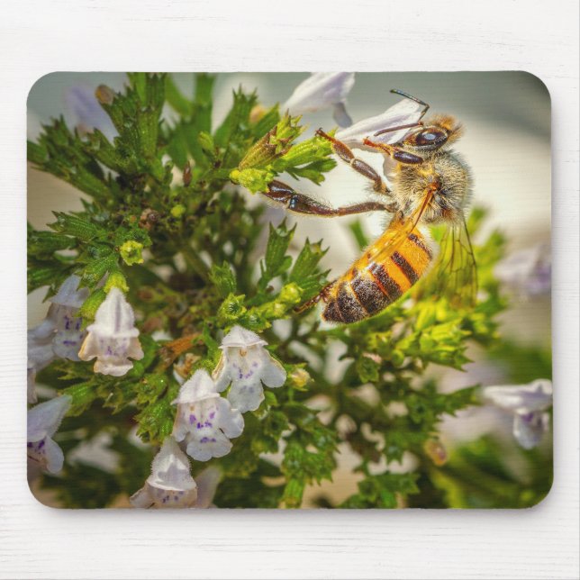 Busy Bee working hard Mousepad (Vorne)
