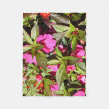 Busy Lizzie Pink und Green