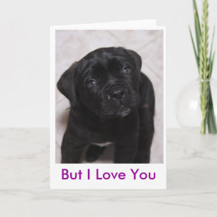 But I Love You Karte
