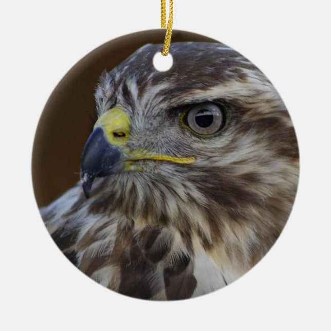 Buteo buteo keramik ornament (Vorne)