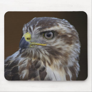 Buteo buteo mousepad