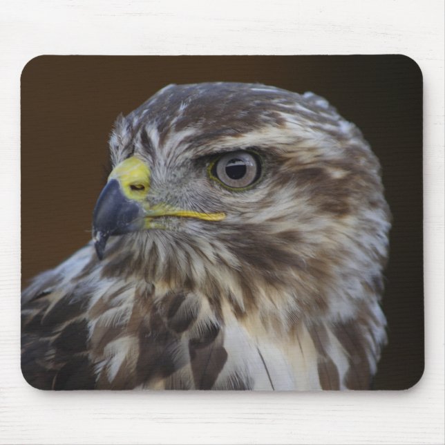 Buteo buteo mousepad (Vorne)