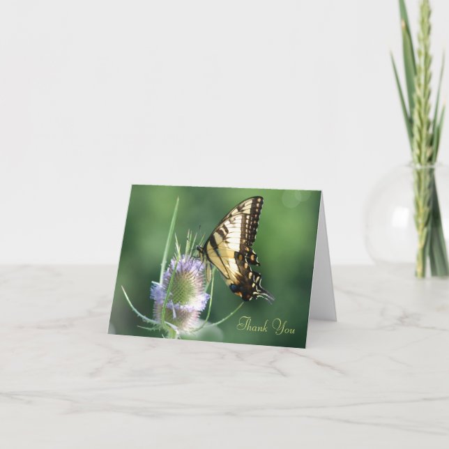 Buttefly auf einem Fleck Karte (Vorderseite)