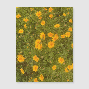 Butter Daisy Garden Magnet