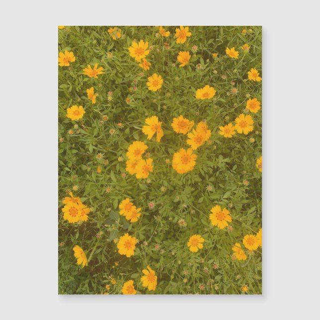 Butter Daisy Garden Magnet (Vorderseite)