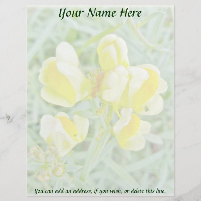 Butter 'n Egge Wildblume Letterhead Briefkopf (Vorderseite)