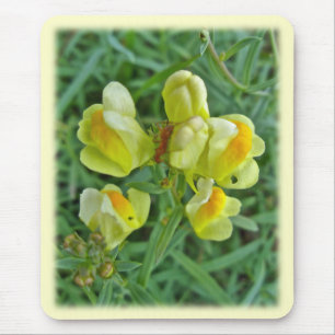 Butter 'n Eggs Wildblume Koordination Elemente Mousepad