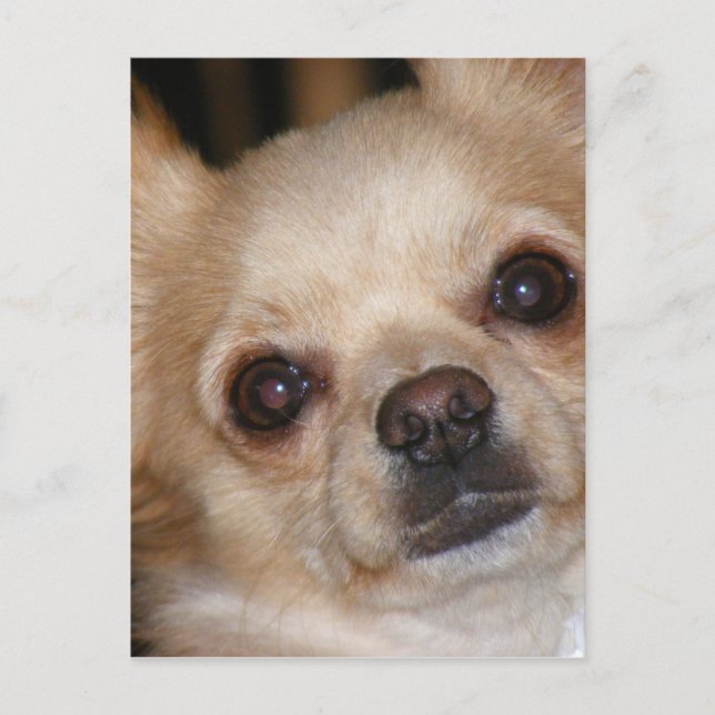 Butter Postkarte (Vorderseite)