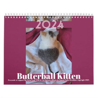 Butterball Kitten: Kalender 2024