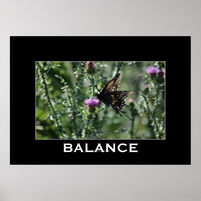 Butterblende und dünne BALANCE Inspiration Poster (Vorne)