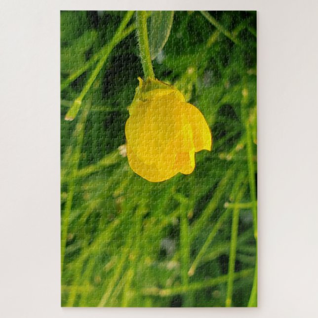 Butterblume (Vertikal)