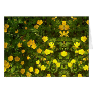 Butterblume-Bild-leere Karte