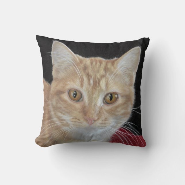 Butterblume der orange Tabby, der Kissen zeichnet (Vorderseite)