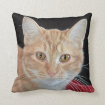 Butterblume der orange Tabby, der Kissen zeichnet