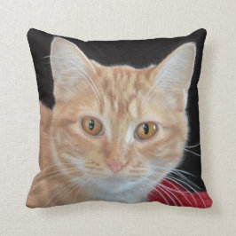 Butterblume der orange Tabby, der Kissen zeichnet