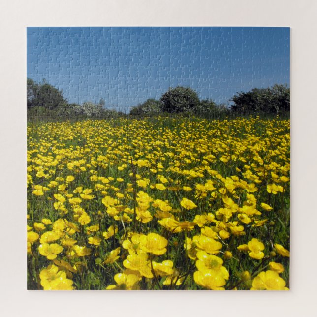 Butterblume-Feld (Vertikal)