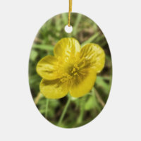 Butterblume