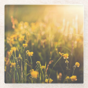 Butterblume-Sonnenuntergang Glasuntersetzer