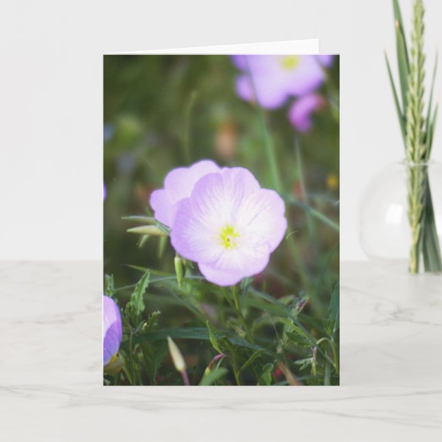 Butterblumeen Karte (Vorderseite)