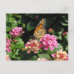 Butterblumen Postkarte