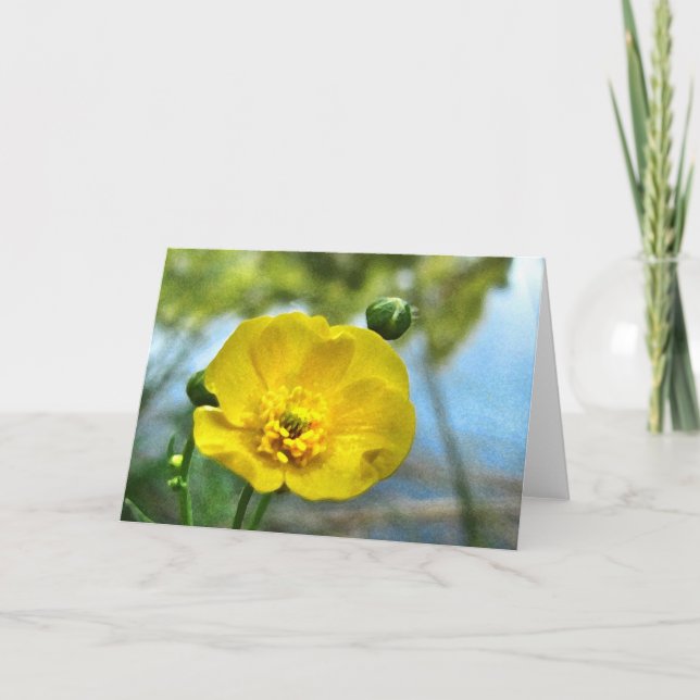 Buttercup auf der Pond Note Card Karte (Vorderseite)