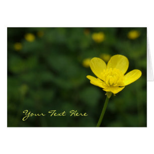 Buttercup-Blume