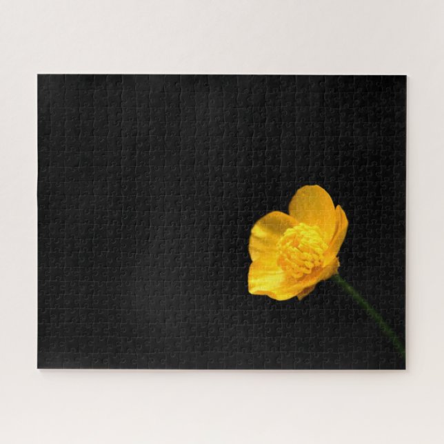 Buttercup-Blume 16x20 520pc jpcn (Horizontal)