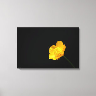 Buttercup Blume 24x16 (60x40cm) Waccna Leinwanddruck